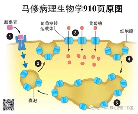 生理作用|生理活性